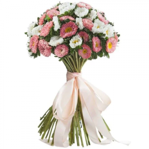 pink and white long stemmed asters tied with a pink ribbon